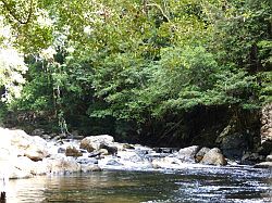 Taman Negara