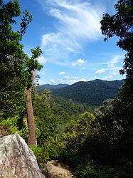 Taman Negara