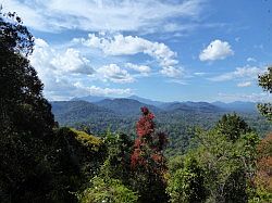 Taman Negara