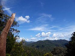 Taman Negara