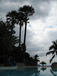 Anilao - Eagle Point beach resort