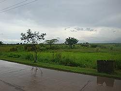 Mount Arayat - omgeving met veel rijstvelden