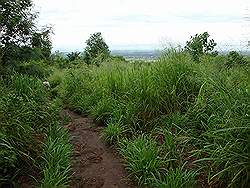 Mount Arayat