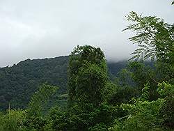 Mount Arayat