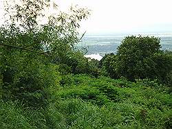 Mount Arayat