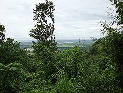 Mount Arayat