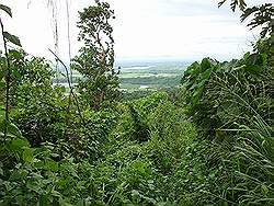 Mount Arayat