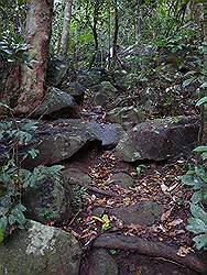 Mount Arayat - steil pad met grote rosten