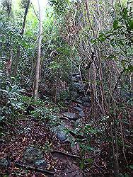 Mount Arayat - steil pad met grote rosten