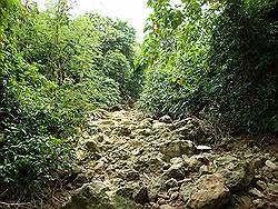 Biak na Bato