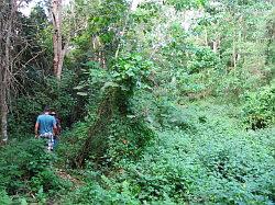 Biak na Bato