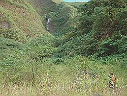 Mount Pinatubo - hoe hoger op de berg, hoe meer begroeiing