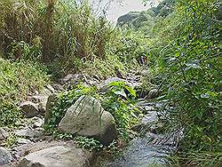 Mount Pinatubo - hoe hoger op de berg, hoe meer begroeiing