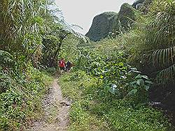 Mount Pinatubo - hoe hoger op de berg, hoe meer begroeiing