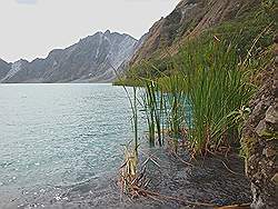 Mount Pinatubo - het kratermeer; er groeit zelfs riet