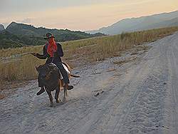 Mount Pinatubo - ruiter op een waterbuffel