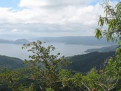 Taal meer