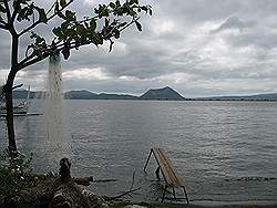 Taal meer