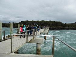 Rangitoto