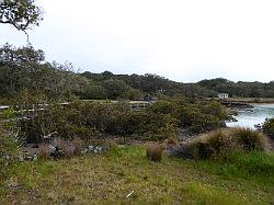 Rangitoto