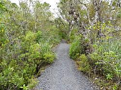 Rangitoto