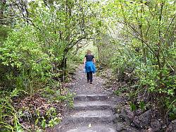 Rangitoto