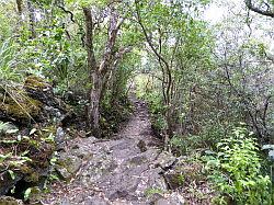 Rangitoto