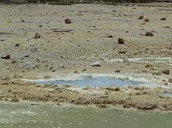 Wai-o-tapu