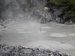 Wai-o-tapu