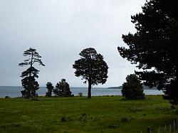 Lake Taupo