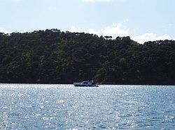 De boot naar Queen Charlotte Track