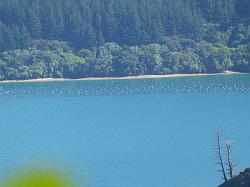 De Queen Charlotte track