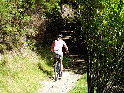 De Queen Charlotte track