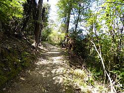 De Queen Charlotte track