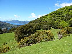 De Queen Charlotte track