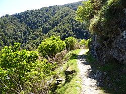 De Queen Charlotte track