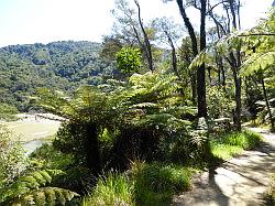 De Queen Charlotte track