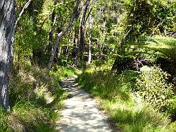 De Queen Charlotte track