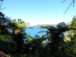 De Queen Charlotte track