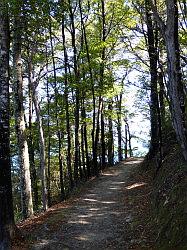 De Queen Charlotte track