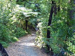 De Queen Charlotte track