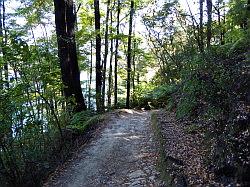 De Queen Charlotte track