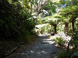 De Queen Charlotte track