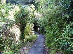 De Queen Charlotte track