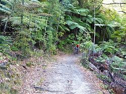 De Queen Charlotte track