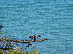 De Queen Charlotte track