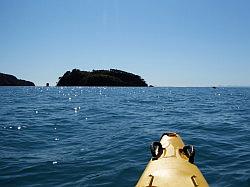 Kayak - Abel Tasman Nationaal park