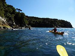 Kayak - Abel Tasman Nationaal park