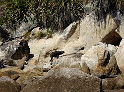 Kayak - Abel Tasman Nationaal park