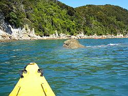 Kayak - Abel Tasman Nationaal park